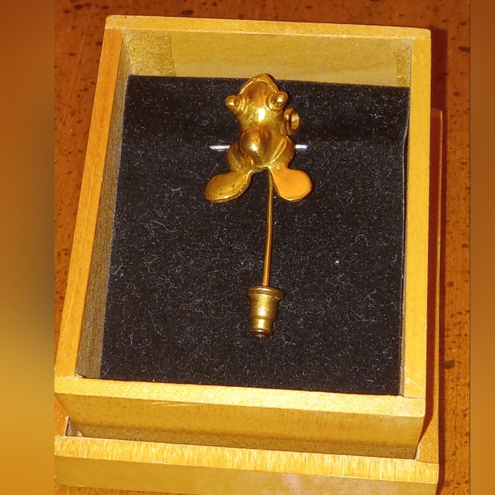 Frog Pin - Picture 2 of 14